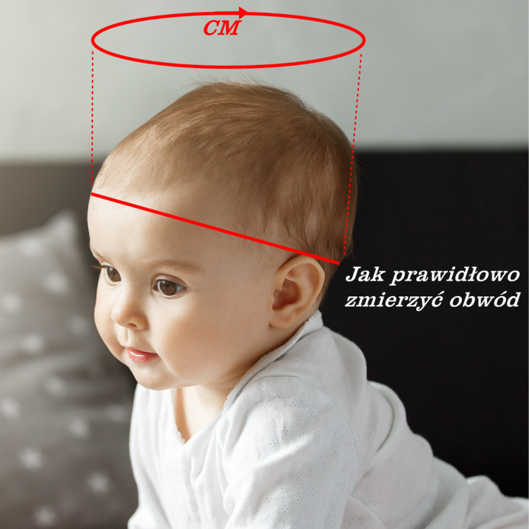 obwód głowki.png