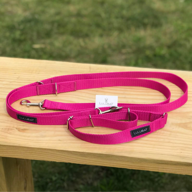 smycz i obroża róż.png