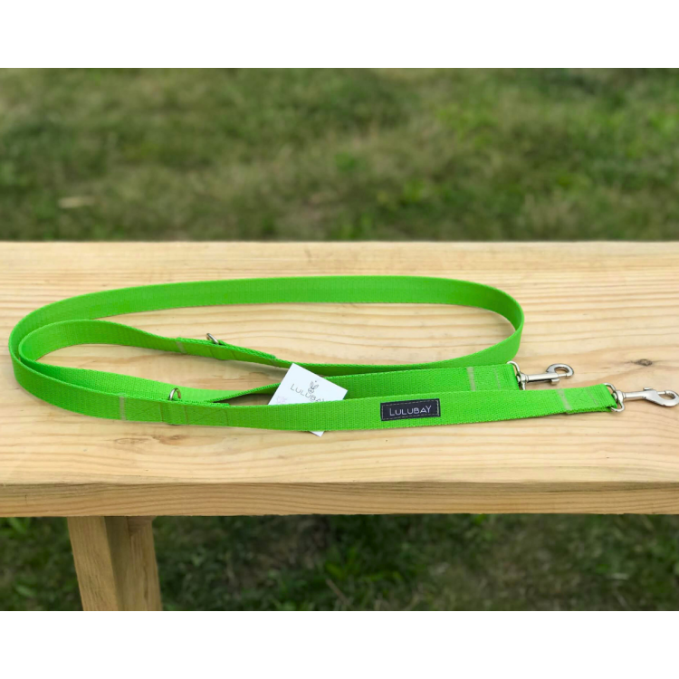 smycz i obroża zieleń.png